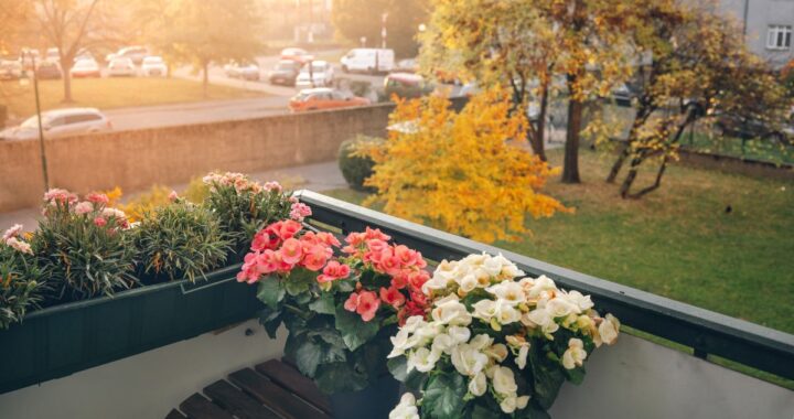 astuces balcon fleuri automne