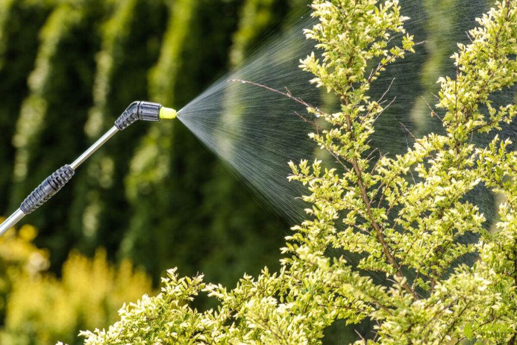 astuces insecticides naturels jardin