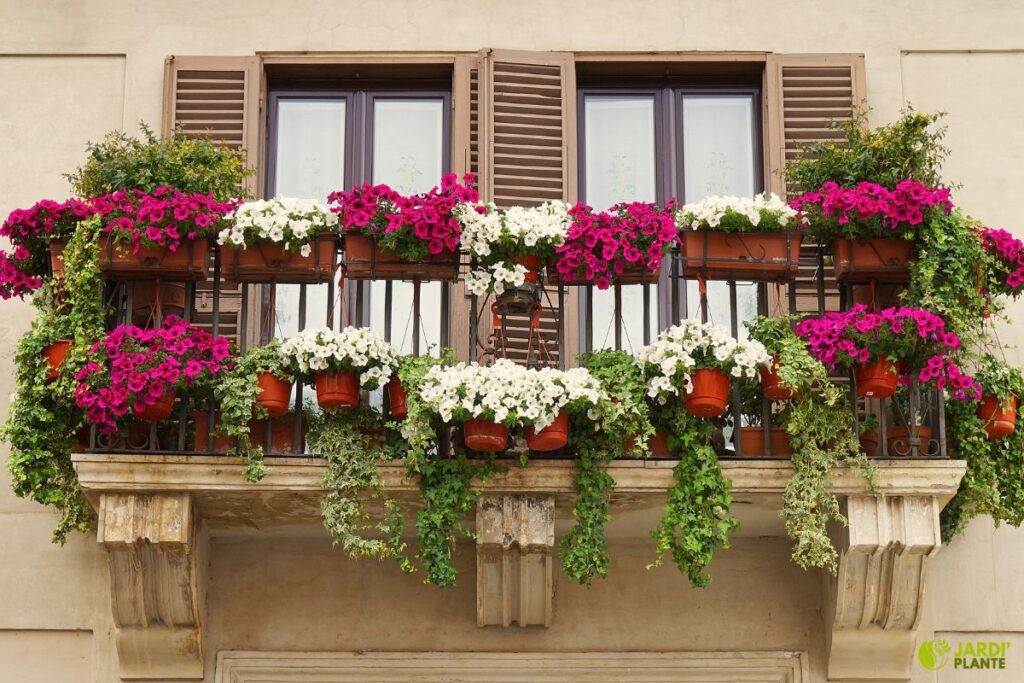 idées aménagement balcon fleuri